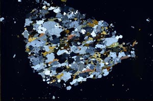 Cross Polarized, S51990