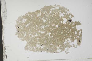 Plane Polarized, S52026