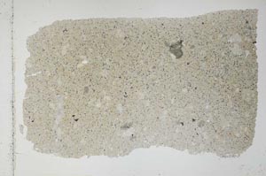 Plane Polarized, S52027