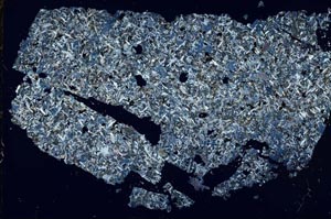 Cross Polarized, S52028