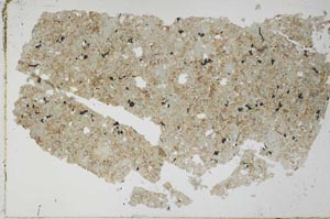 Plane Polarized, S52028