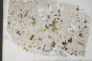 Plane Polarized, S52047