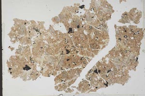 Plane Polarized, S52048