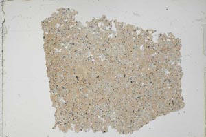 Plane Polarized, S52049