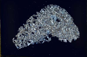 Cross Polarized, S52050