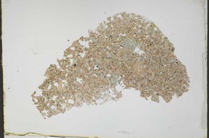 Plane Polarized, S52050