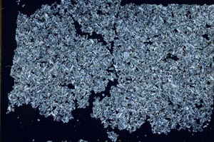 Cross Polarized, S52051