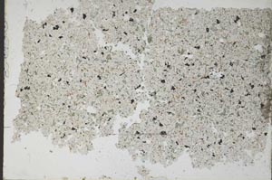 Plane Polarized, S52051