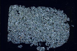 Cross Polarized, S52052