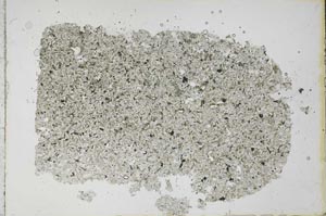 Plane Polarized, S52052