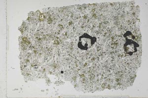 Plane Polarized, S52054