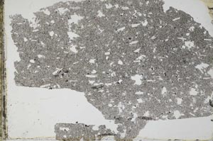 Plane Polarized, S52065