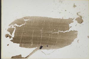 Plane Polarized, S52079