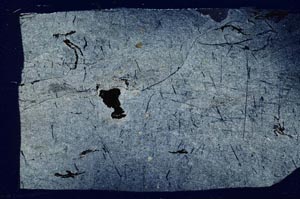 Cross Polarized, S52137/A