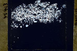 Cross Polarized, S52141