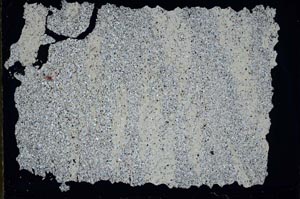 Cross Polarized, S52148