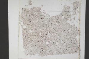 Plane Polarized, S52151