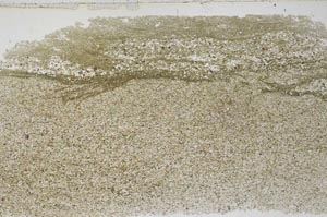Plane Polarized, S52162
