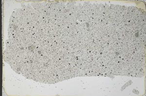 Plane Polarized, S52173