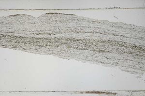 Plane Polarized, S52208