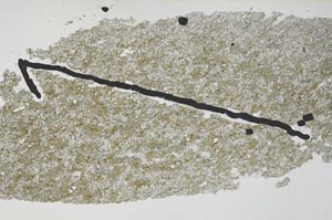 Plane Polarized, S52211