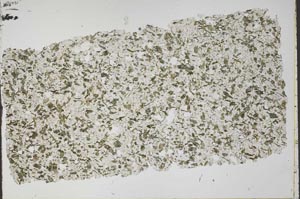 Plane Polarized, S52213