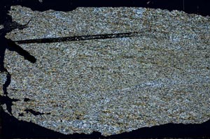 Cross Polarized, S52221