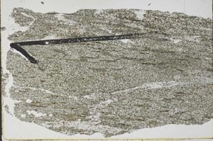 Plane Polarized, S52221