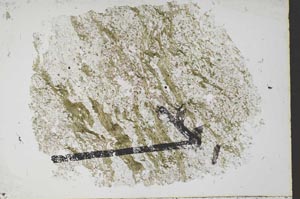 Plane Polarized, S52222