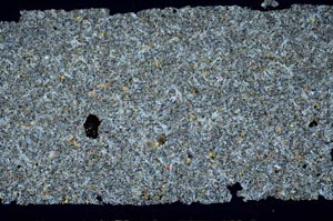 Cross Polarized, S52226