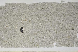 Plane Polarized, S52226