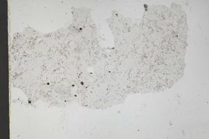 Plane Polarized, S52231