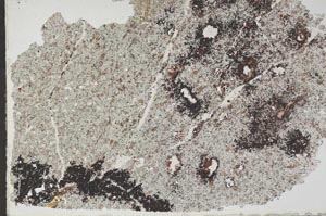 Plane Polarized, S52235