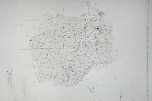 Plane Polarized, S52253