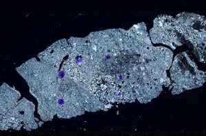 Cross Polarized, S52268