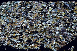 Cross Polarized, S52272