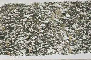 Plane Polarized, S52272/A