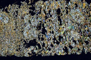 Cross Polarized, S52273