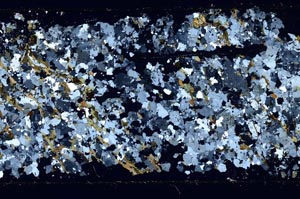 Cross Polarized, S52288