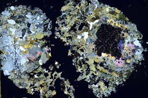 Cross Polarized, S52295