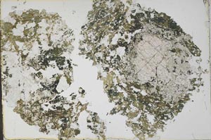 Plane Polarized, S52295