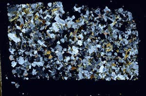 Cross Polarized, S52325