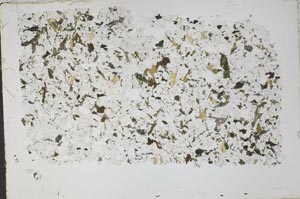 Plane Polarized, S52325