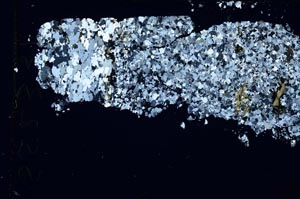 Cross Polarized, S52331