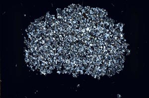 Cross Polarized, S52340