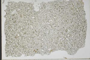 Plane Polarized, S52342