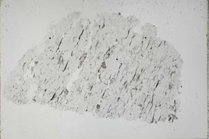 Plane Polarized, S52345