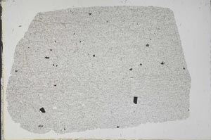 Plane Polarized, S52347
