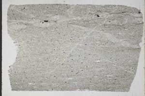 Plane Polarized, S52349