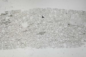 Plane Polarized, S52350